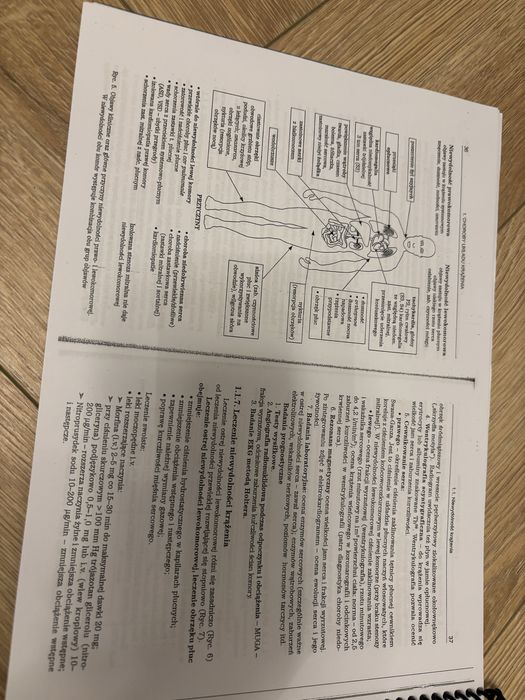 Zarys chorób wewnętrznych dla stomatologów