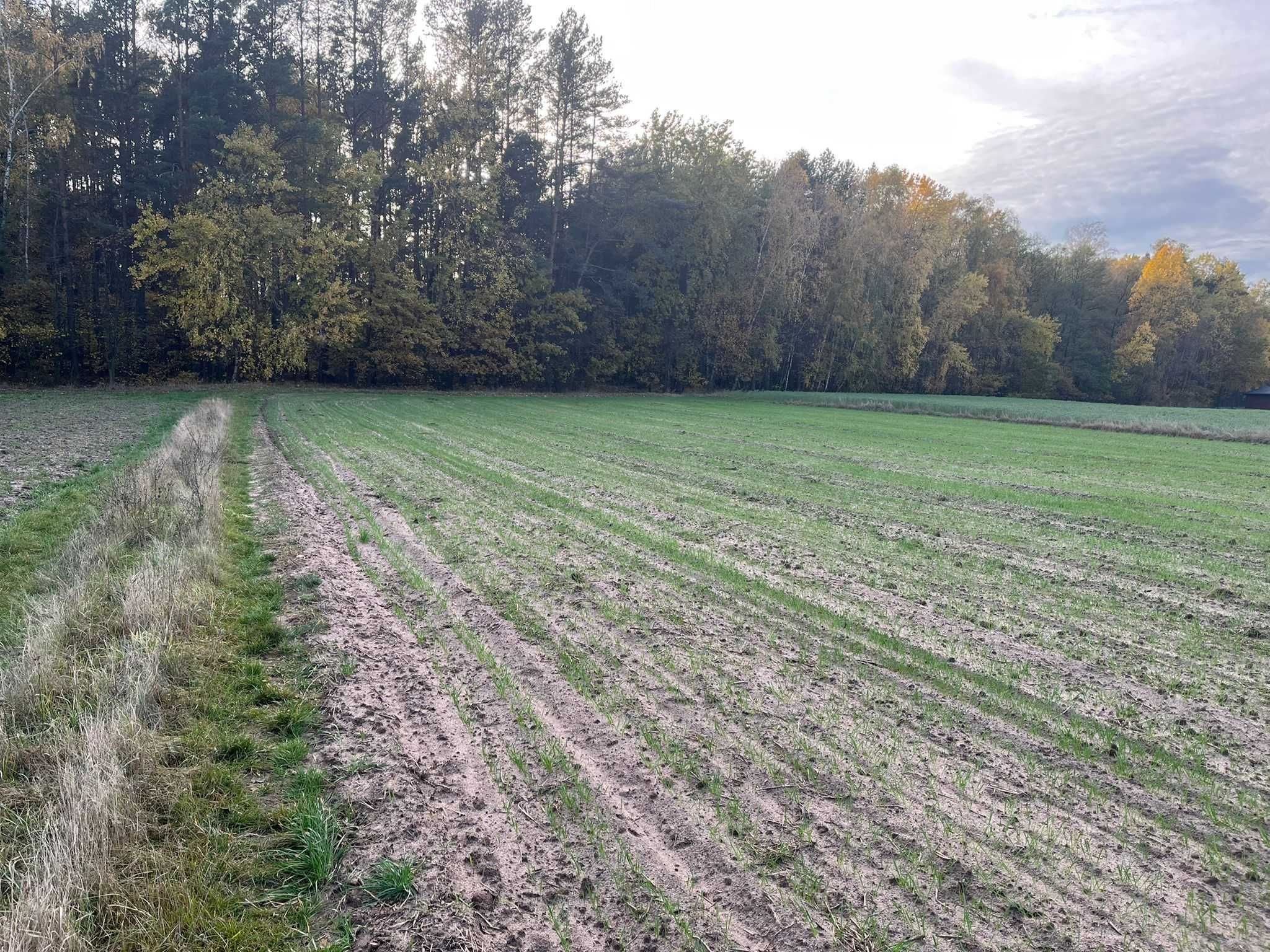 Działka pod zabudowę w miejscowości Słopsk