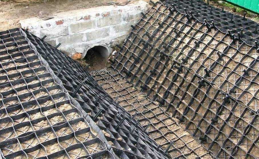 Kratka trawnikowa, ogrodowa