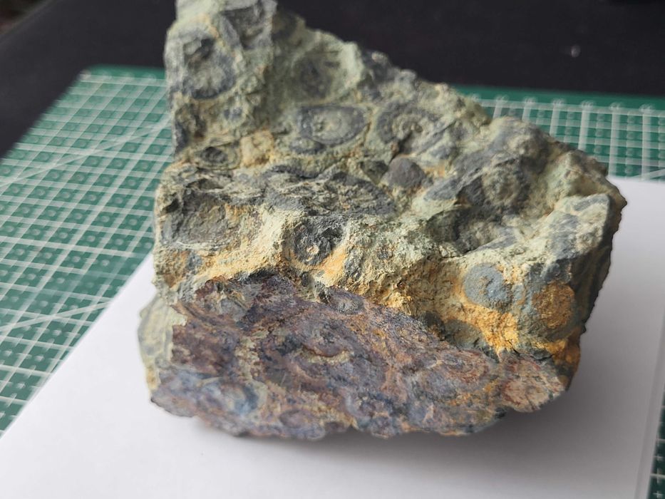 Jaspis kambaba surowy, duży, Madagaskar