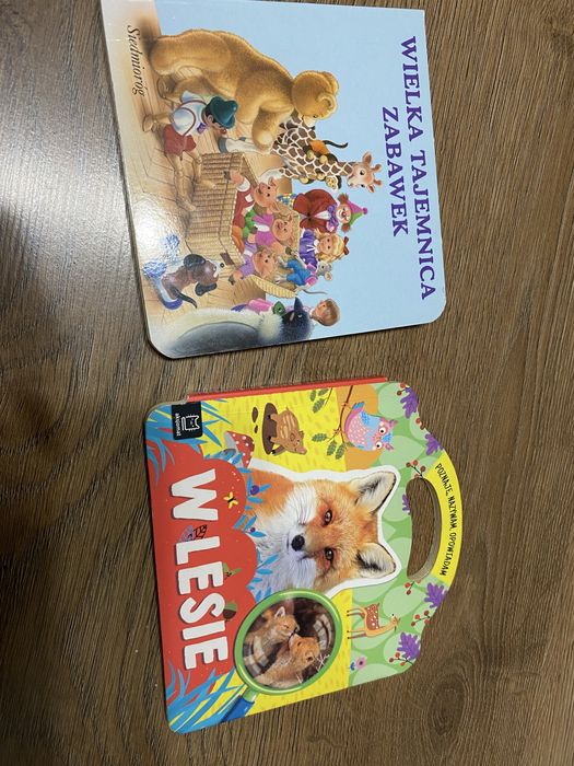 Dwie twarde książeczki dla dzieci: w lesie i wielka tajemnica zabawek