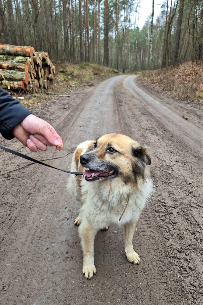 Cudowna i mięciutka Idzia czeka na swój domek!