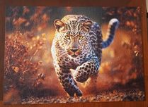 Puzzle Trefl Dziki leopard  1000 elementów