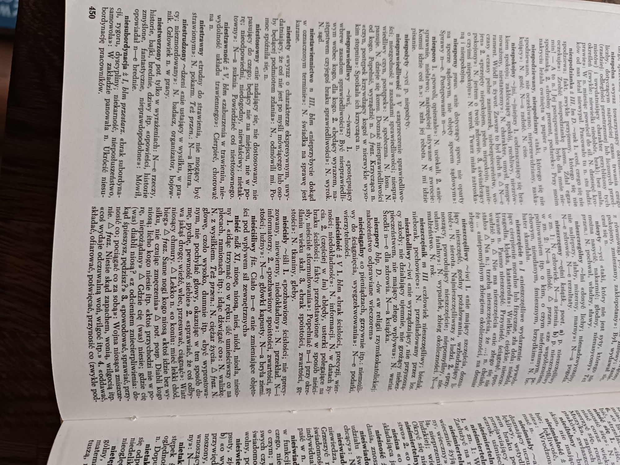 Mały słownik języka polskiego 1989