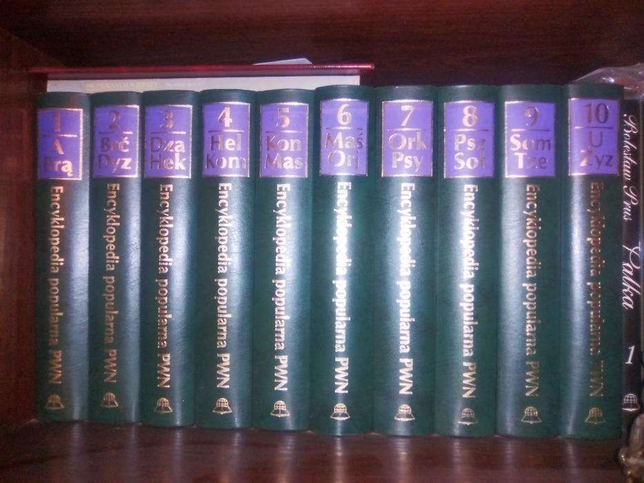 Encyklopedia PWN z GUS Kpl 1- 10