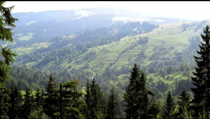 Відпочинок в Карпатах