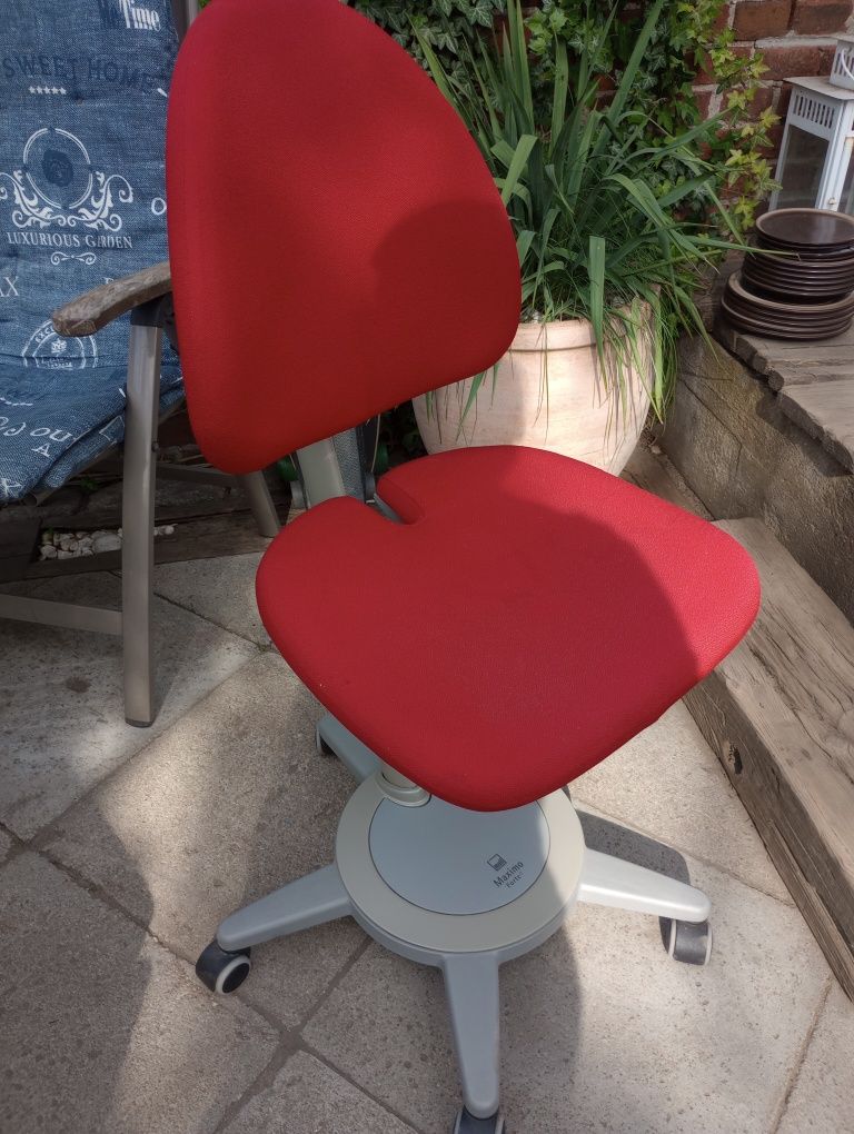 Krzesło  ergonomiczne moll