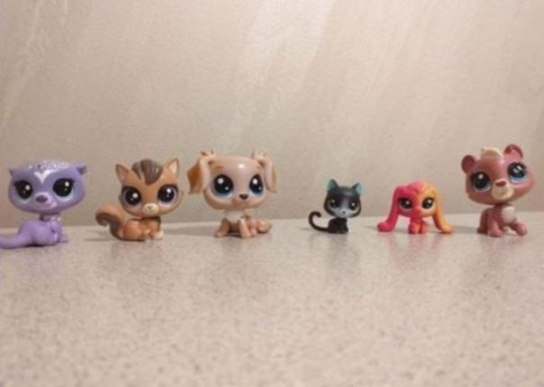 Little  Pets Shop