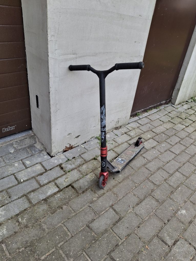 Hulanoga zwykła/sporotwa