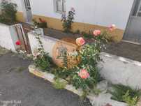 Moradia Térrea - Isolada - Com Furo - Com Terreno De 600 M2 - Corte...
