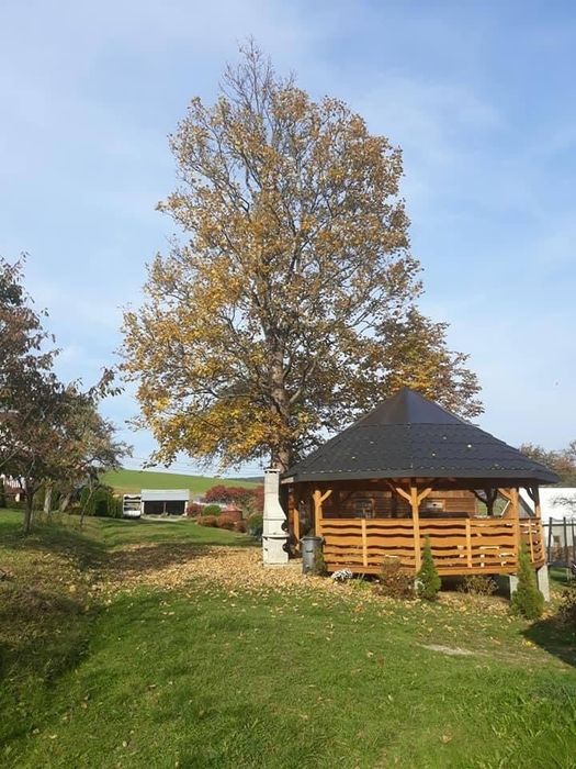 Pokoje do wynajęcia domki sylwester góry noclegi Beskid niski