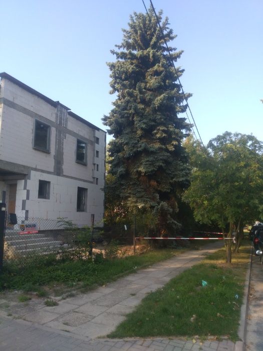 Drewno drzewo kominkowe opałowe Pabianice Konstantynów Aleksandrów