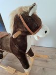 Konik na biegunach