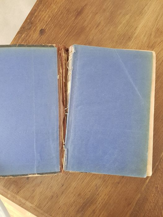 Вістник Періодичне видання 1899