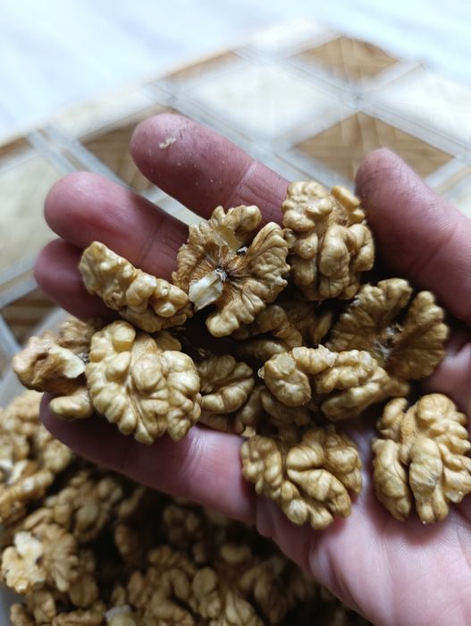 Продам лущені горіхи