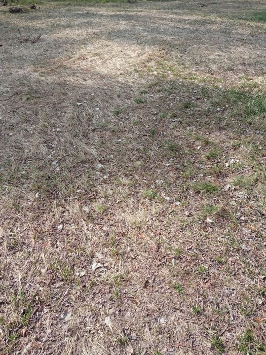 Продажа земли в с. Геронимовка