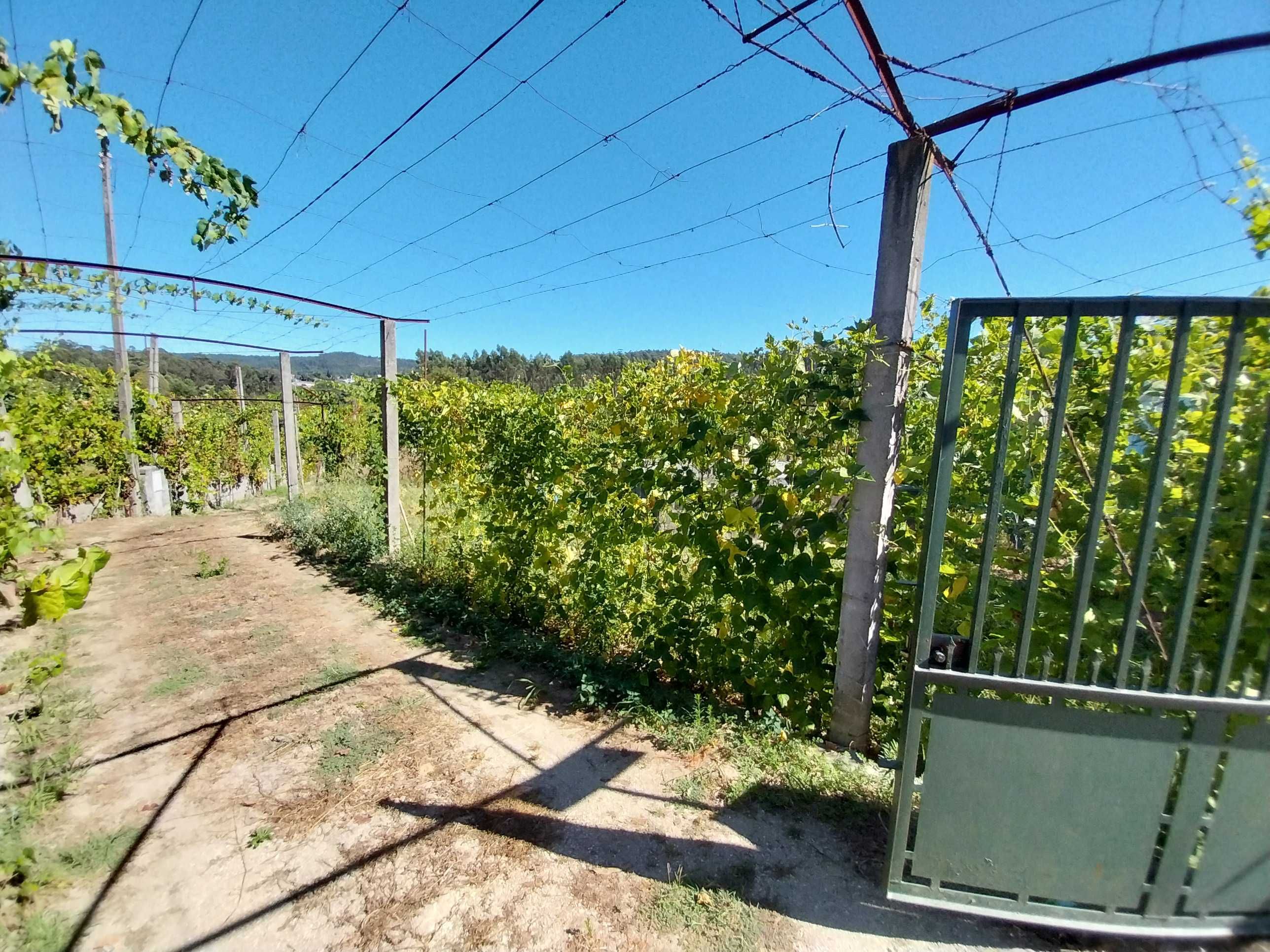 Terreno à venda em Ruílhe