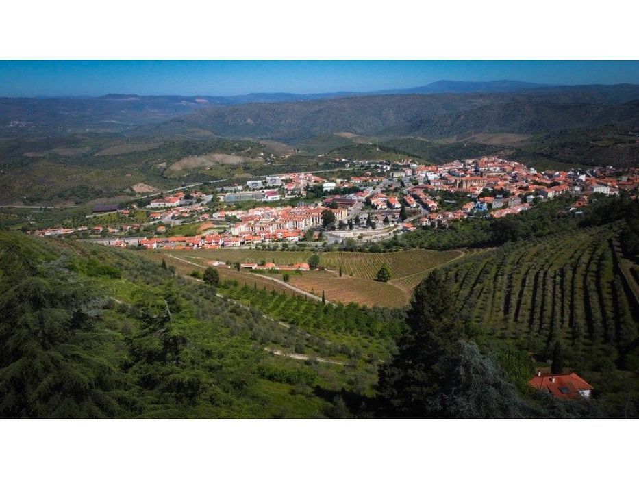 Magnifica Quinta T14 com licença de AL situada na região do Douro e...