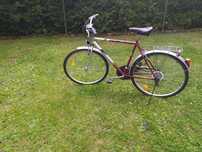 Rower Horizon koła 28cali
