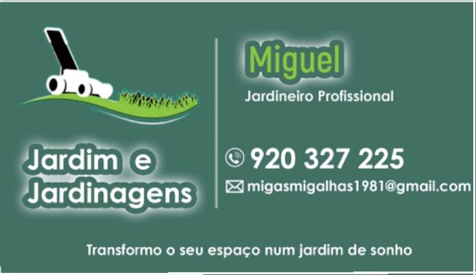 Prestação de serviços