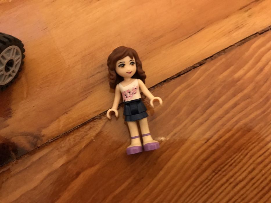 lego friends owocowe zbiory Oliwii