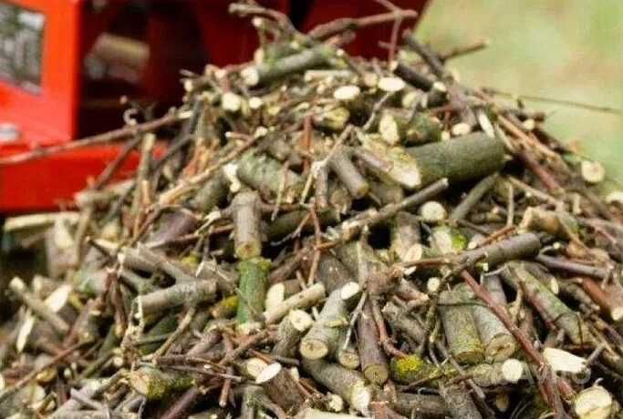 Подрібнювач гілок Оренда гілкоруб веткоруб измельчение веток дрова