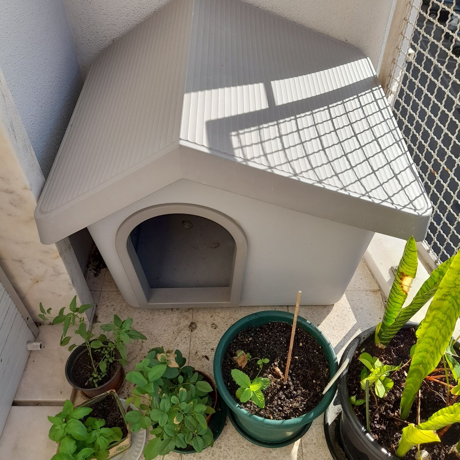 Casota cães pequenos e medios