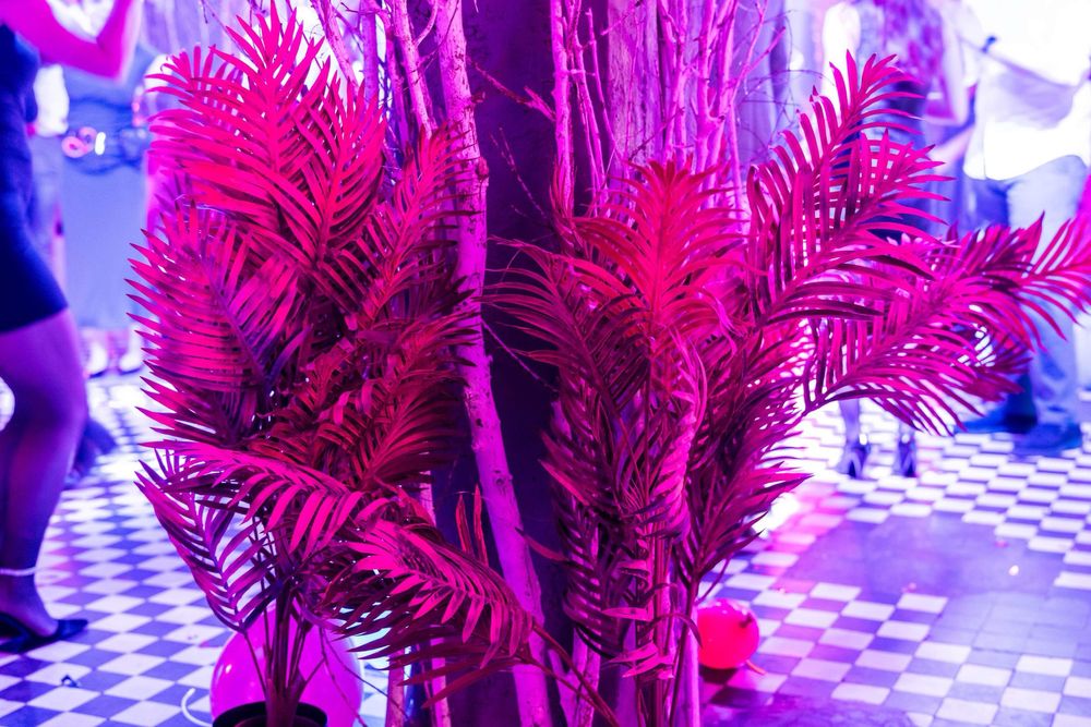 Zestaw 15 dekoracyjnych palm fluo
