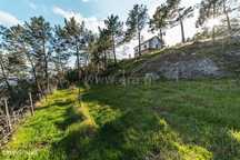 Quinta T3 / Covilhã, Cantar - Galo