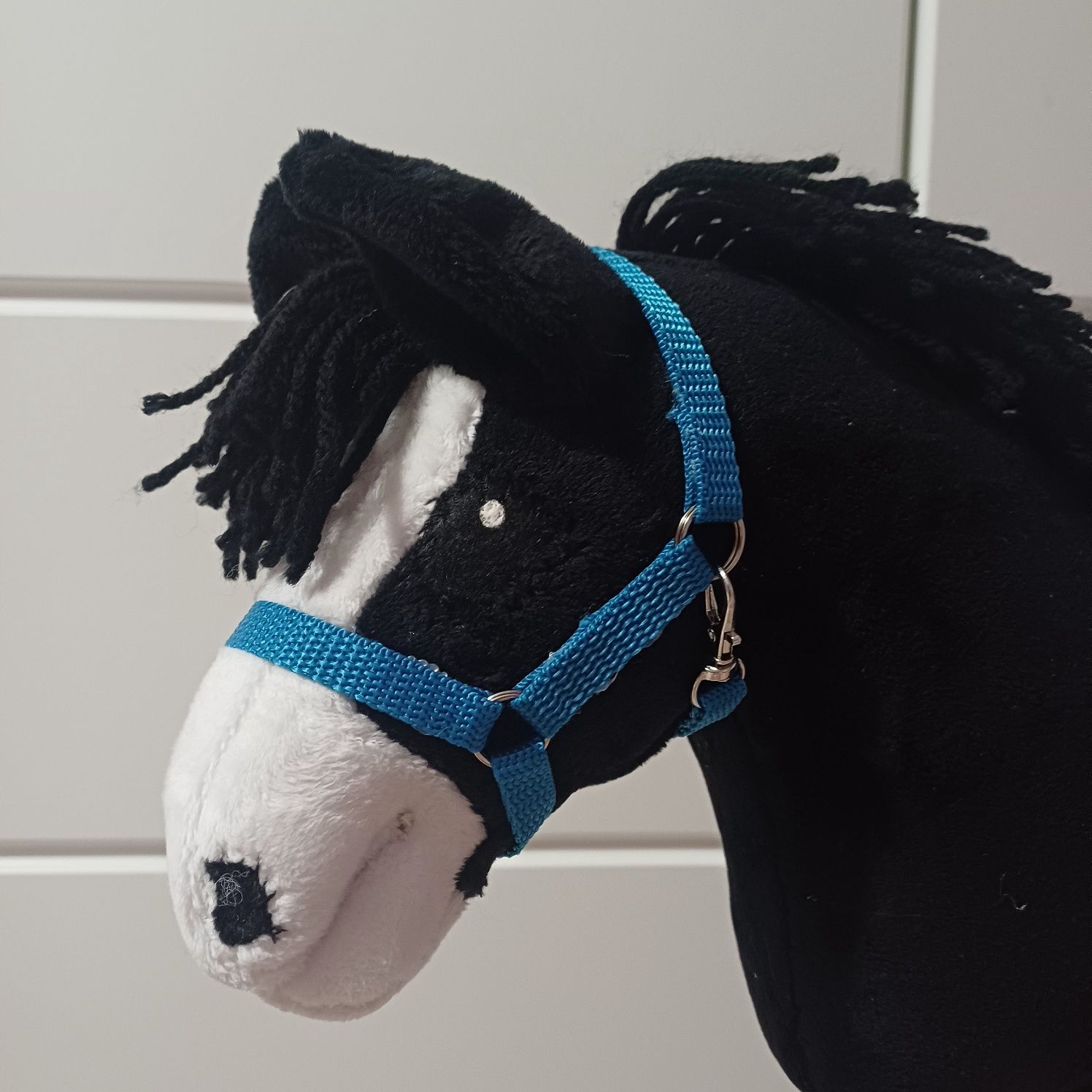 Kantar hobby horse