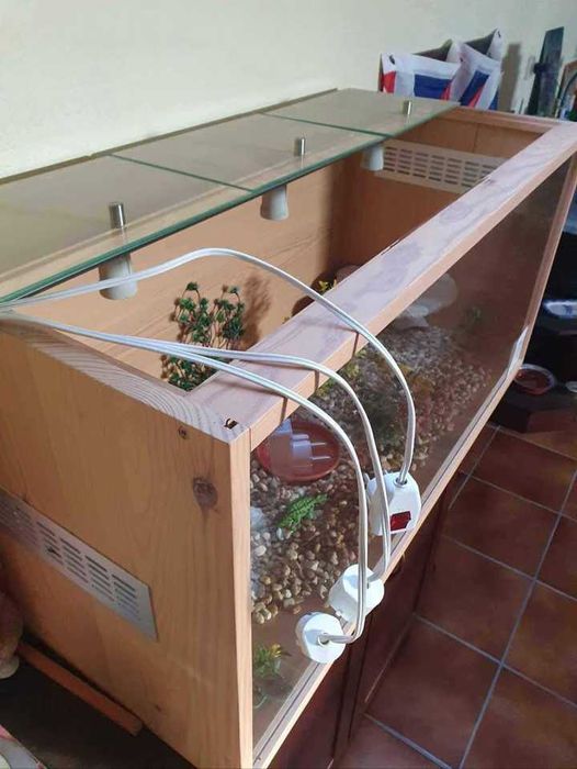 Terrário em Madeira Maciça