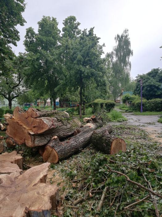 Спил деревьев,кронирование,обрезка веток.Дробление  веток на щепу.