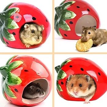 Casa de cerâmica hamster chinchila ouriço pequenos animais ENVIOGRÁTIS