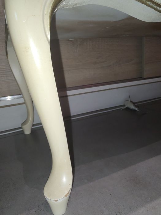 ,Witryna ,Toaletka ,Ludwik