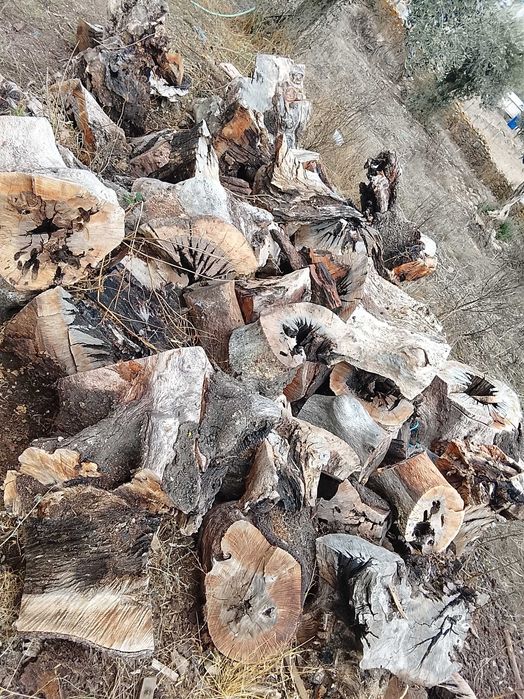 Lenha de azinho em rolo