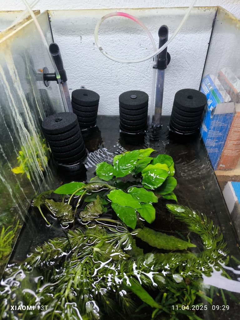 Filtr ujet 3 aqua, nova nsf 200l