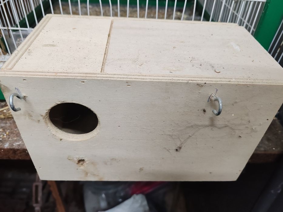 Vários material para aves