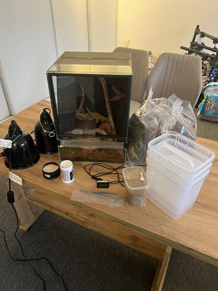 Terrarium 30х30х40 + komplet wszystkiego, do opieki nad jaszczurką