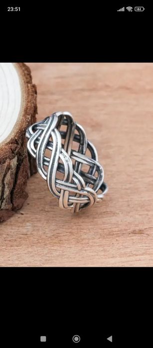 Sygnet męski gniazdo 2023/2024.  n40