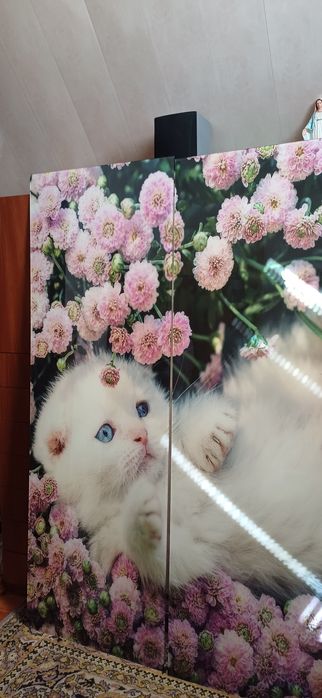 Скло для шафи купе