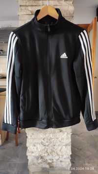 Bluza Adidas unisex S/M