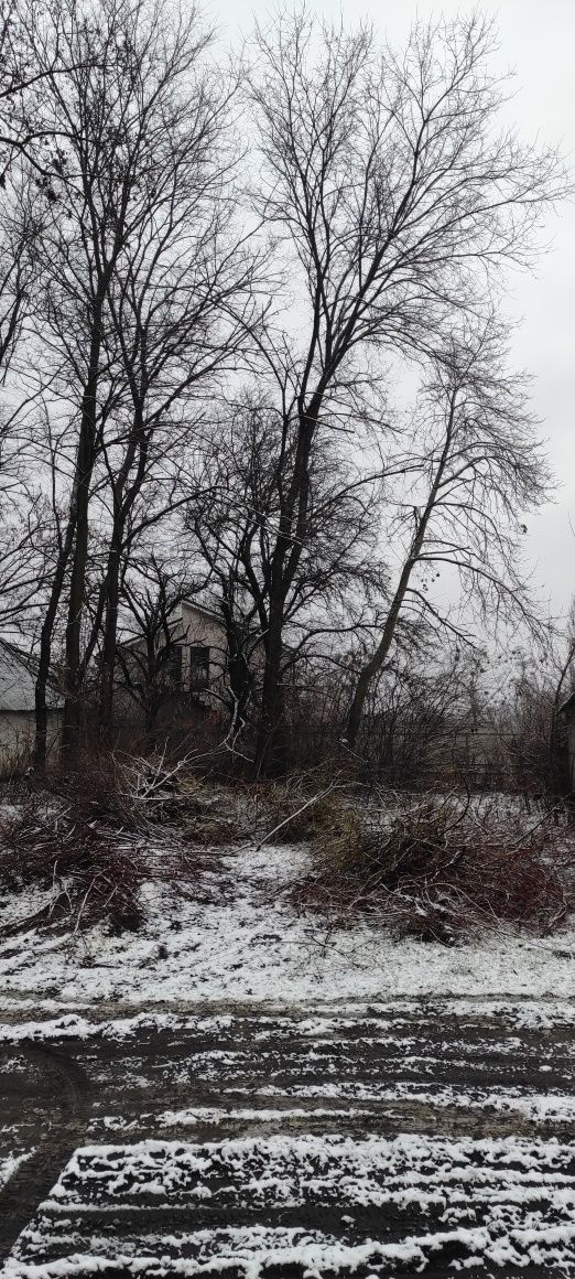 Земельна ділянка 16 соток в лісі с. Проців під будівництво