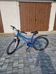 Rower Onil 24 cale