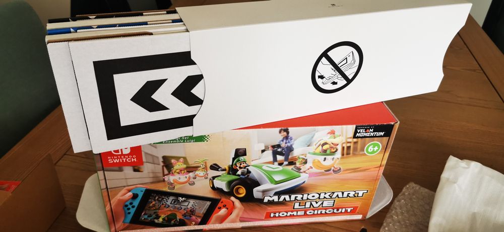 Mariokart Live Home Circuit (Luigi)