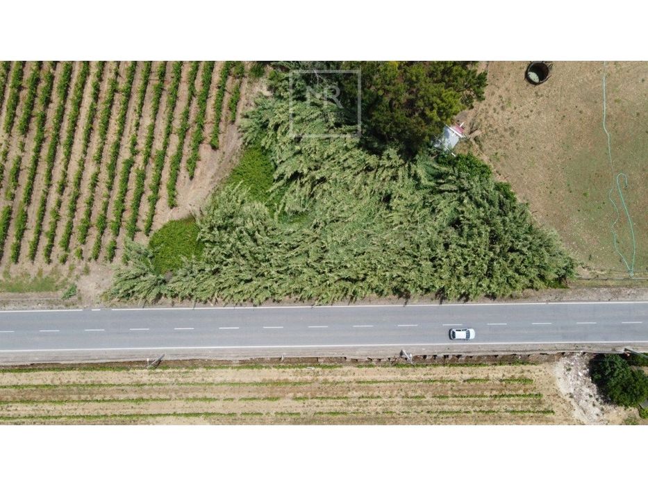 Terreno  Venda em São Lourenço do Bairro,Anadia