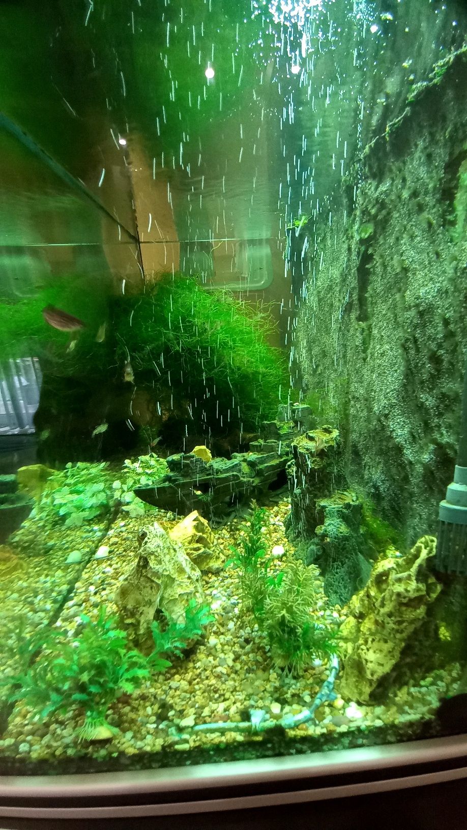 Vendo aquarium com acessorios.