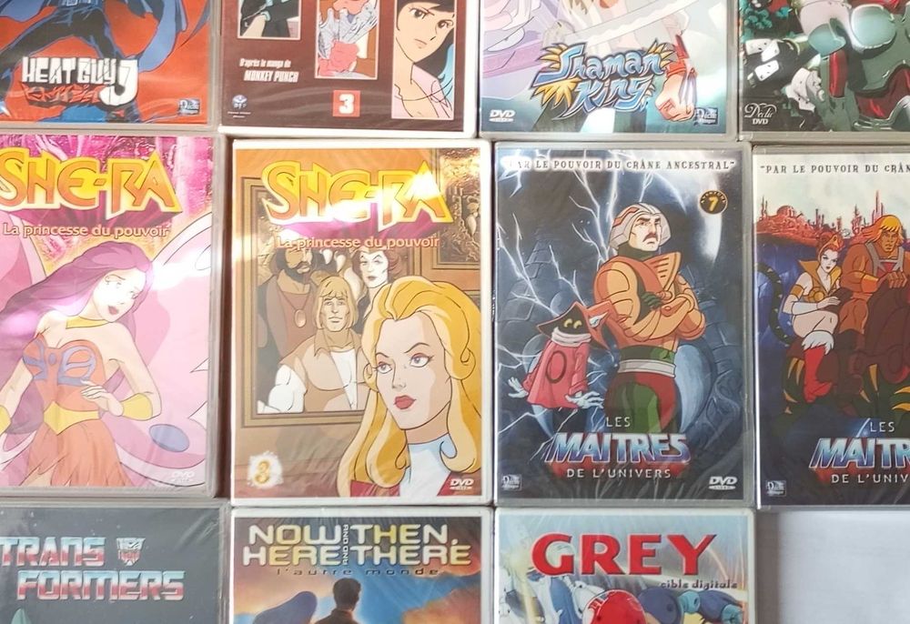 12x DVD anime manga FRANCUSKIE FOLIA, She-Ra, He-man i inne, lata 2000