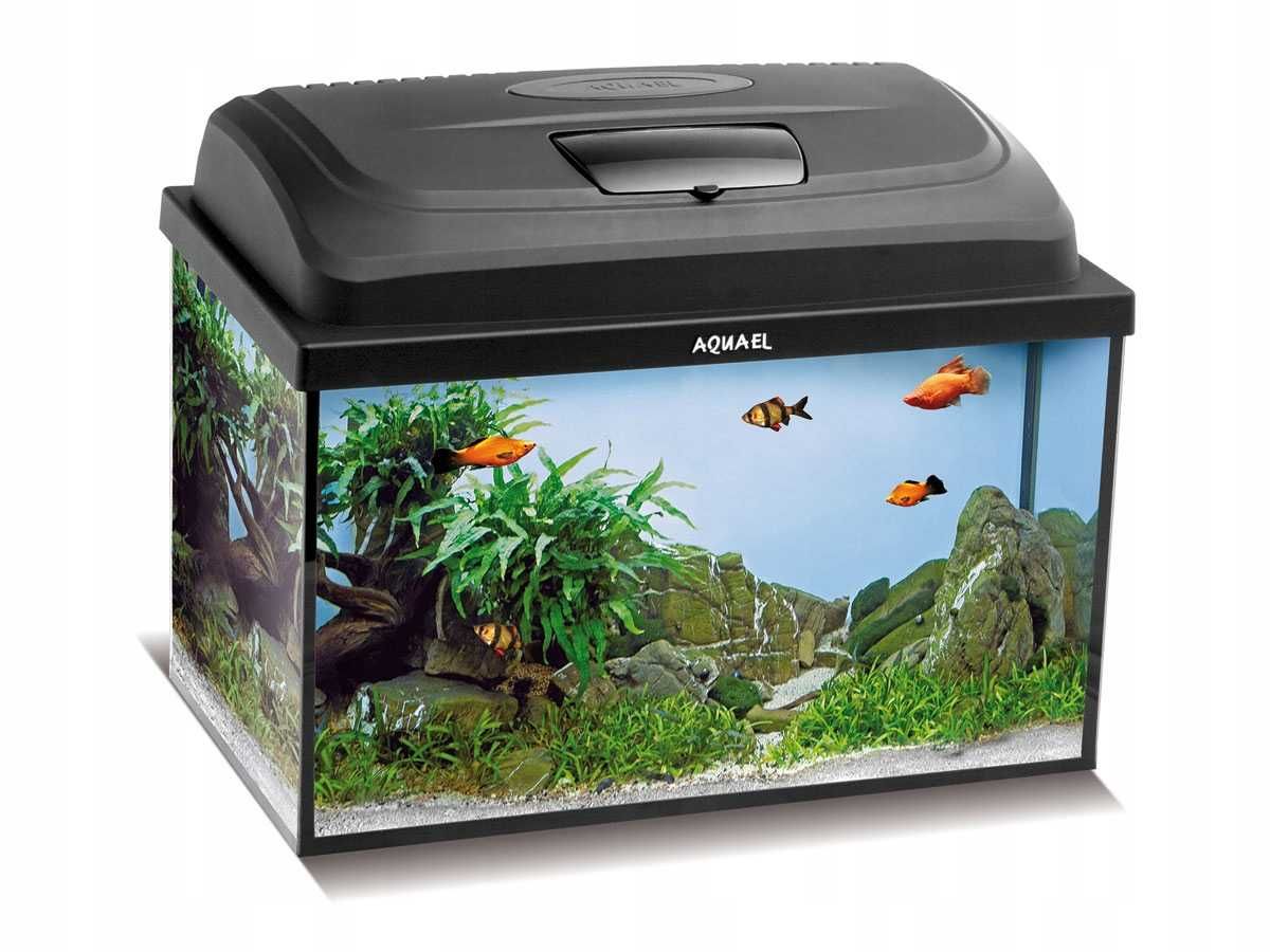 AQUAEL Classic Box 40 2.0 25L + Pokrywa 7W D&N - PAWIK.PL