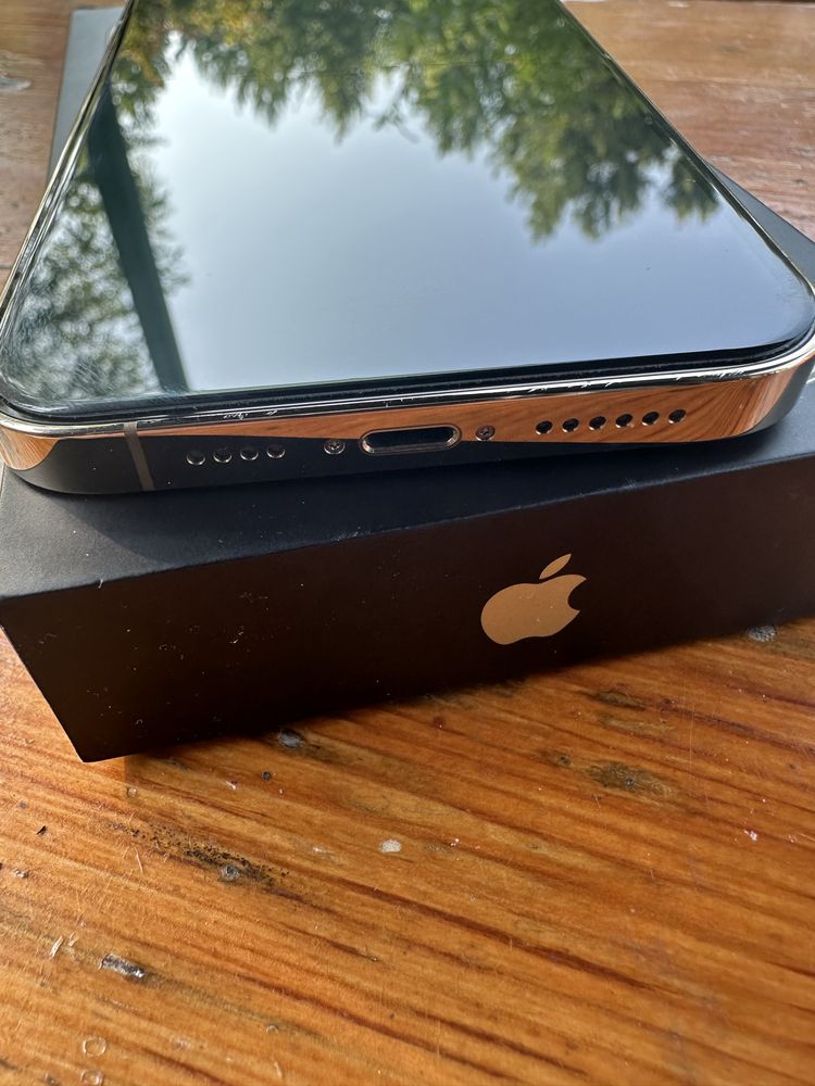 Iphone 13 pro max 256 gb