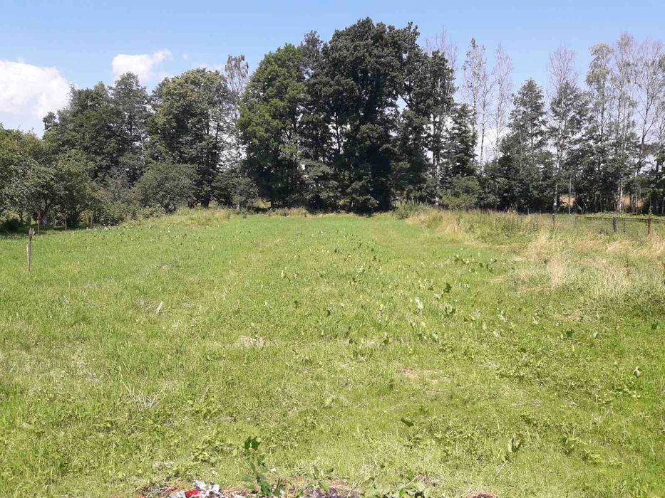 Продам житловий будинок з 30 сотих землі під ним